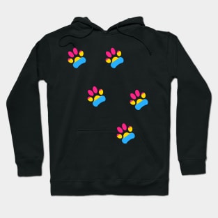 Pansexual Pride Paws Hoodie